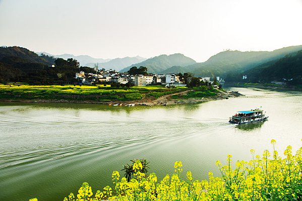 �¹��¶���