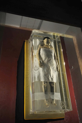 ��ɳ�����