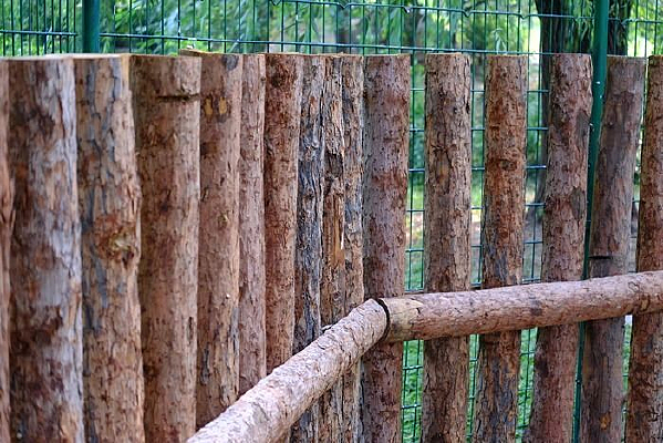 ľ���ͼƬ�ز�