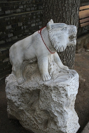 �����ϻ�