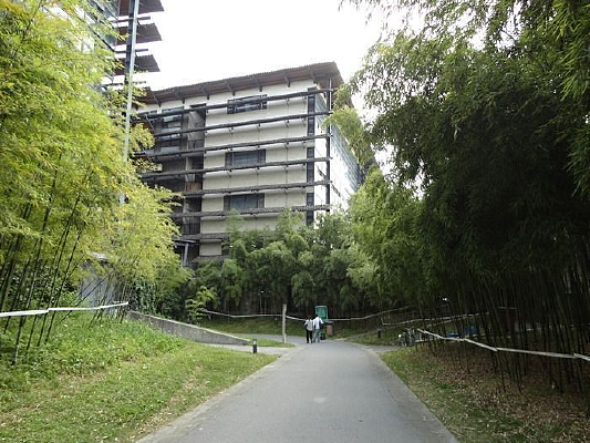 ���ݹ���