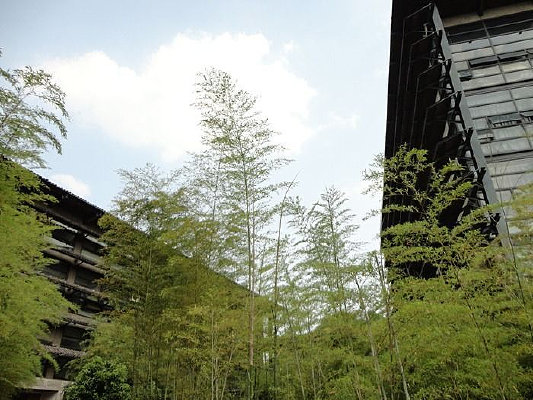 ���ݹ�������ѧԺ