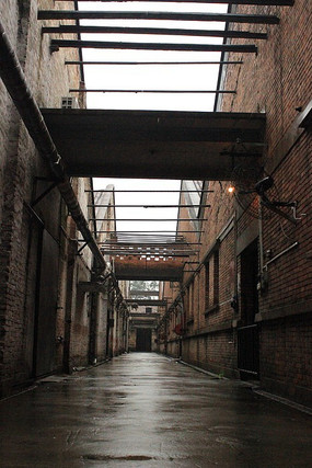 ���ų���