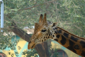 ����¹���Դ�