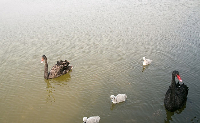 �����һ��