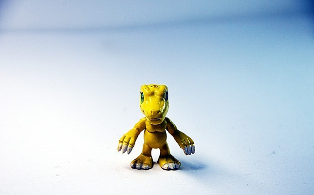 ��ɫ����