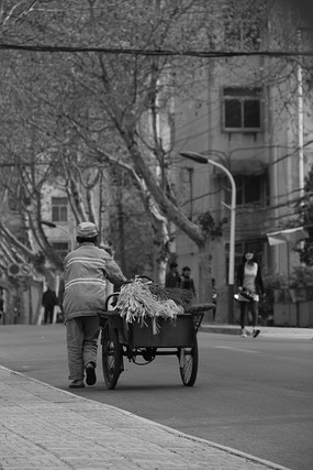 �������˱�Ӱ