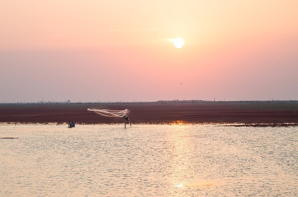 Ϧ��������