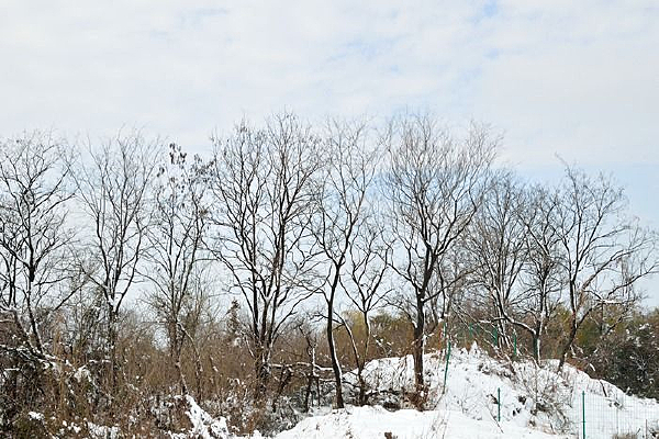 ��װ�ع�������