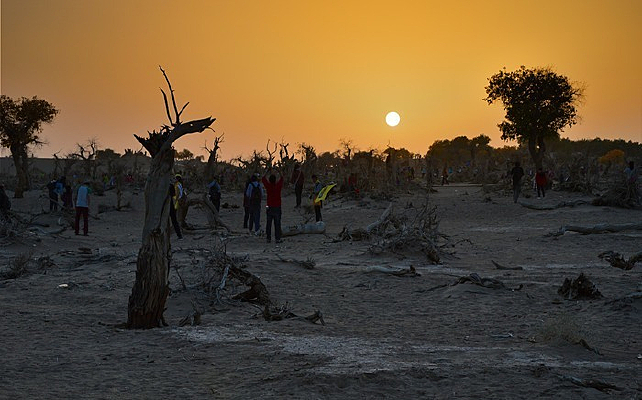 ����������