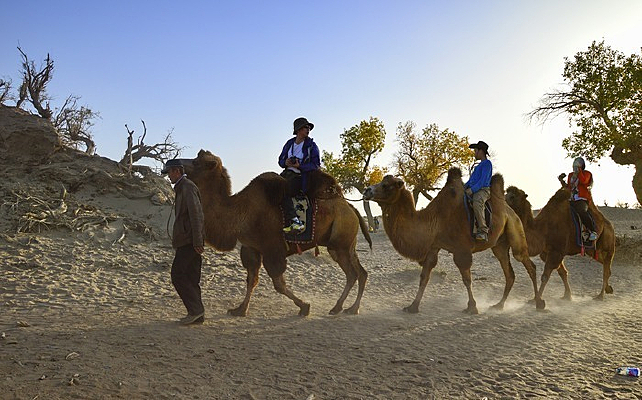 ������ɳĮ����