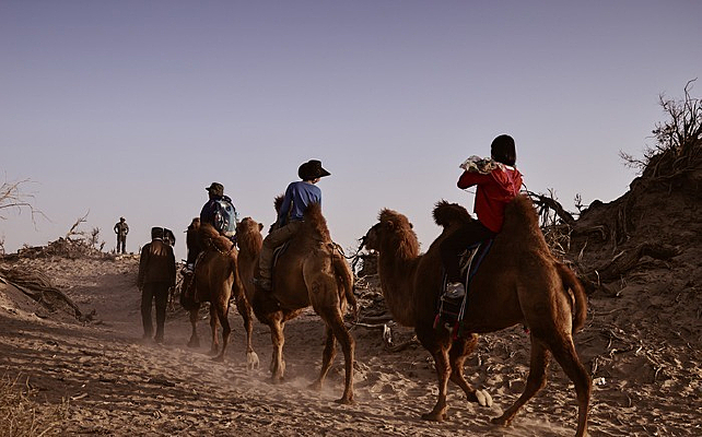 ɳĮ������