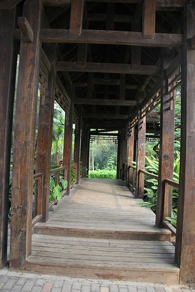 �ŵ佨������