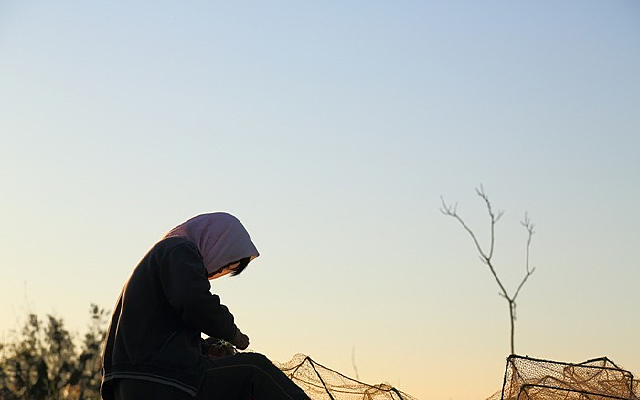 ֯������