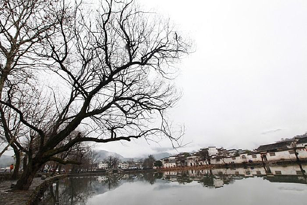 ������Ӻ�