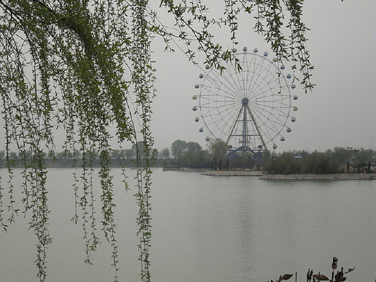 ���ֳ��羰