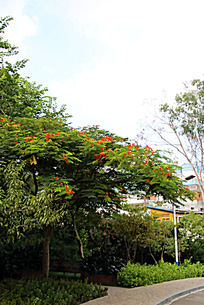 ·�ߵĵĻ���