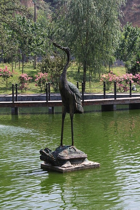 �����׵��