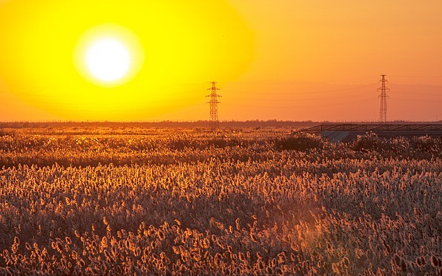 ����Ϧ��