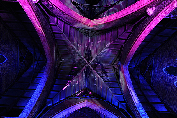 ҹ������