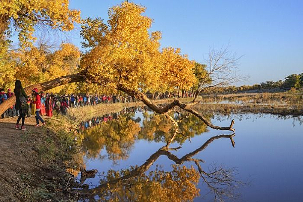 ���ֵ�Ӱ�ں�ˮ��