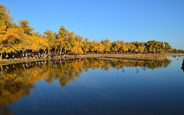 ������������