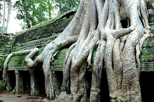 ����կ����