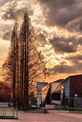 ��Ȼ������