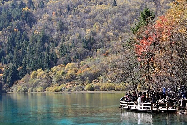 ������կ