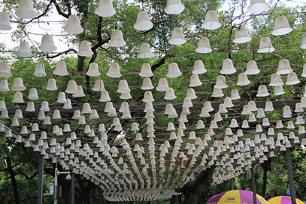 ��ɫ����