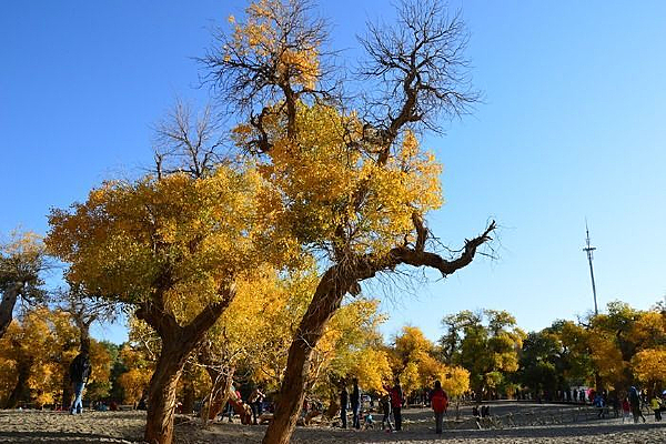 �������ٵ�