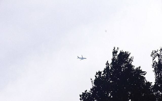 ��շɹ��ɻ�