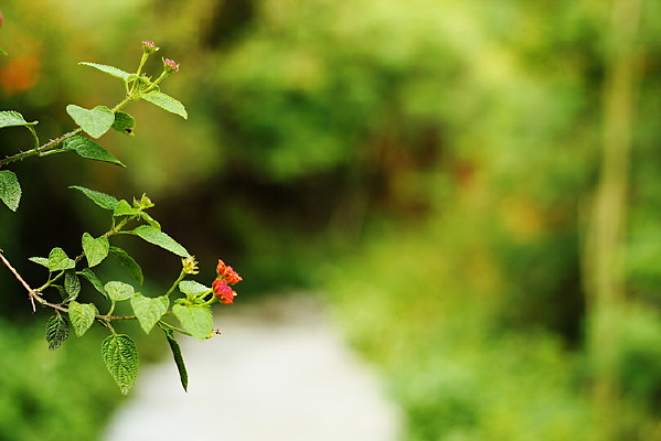 �򻨴���һ���