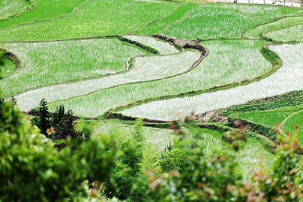 ������԰���