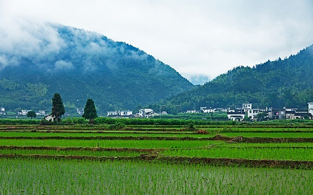 ����������ɫ