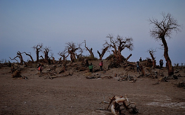 ҹ������