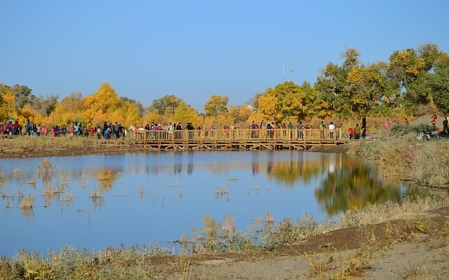 ����ľ��