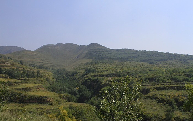 ����ɽ��