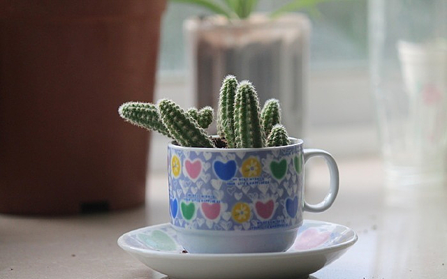 С������