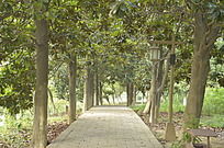 ���� ����