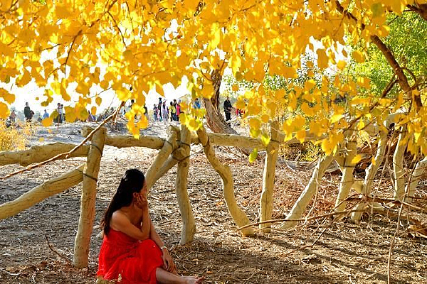 ��������Ů