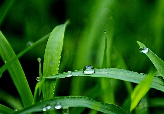 �峿��¶��