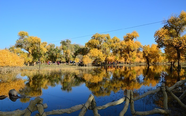 ������ӳ