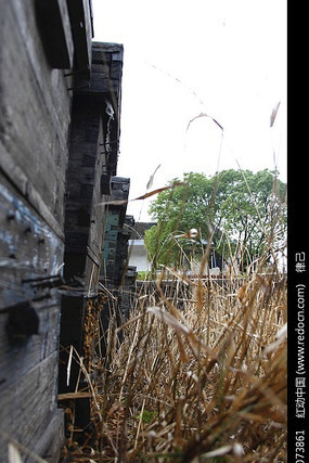 ������д