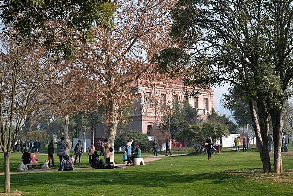 ��Ȫ����