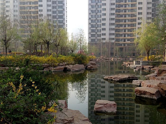 ��԰����