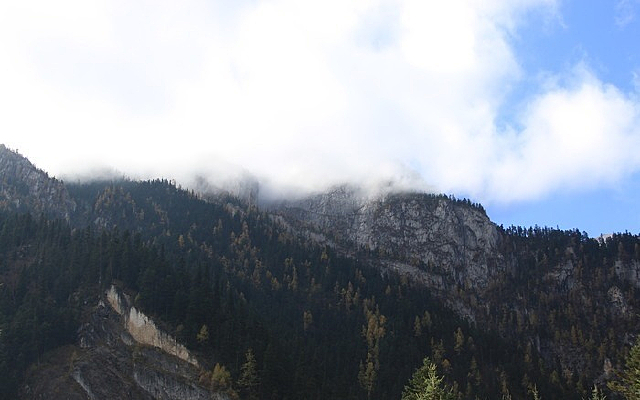 ��կ����