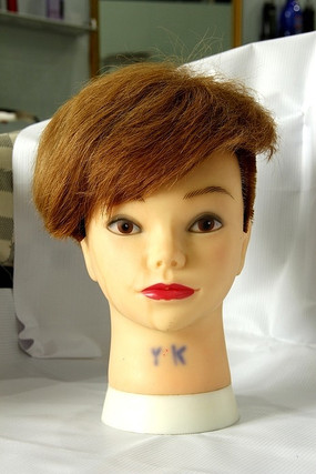 ����ģ��ͷ��