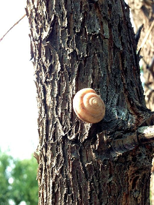 ���ϵ���ţ