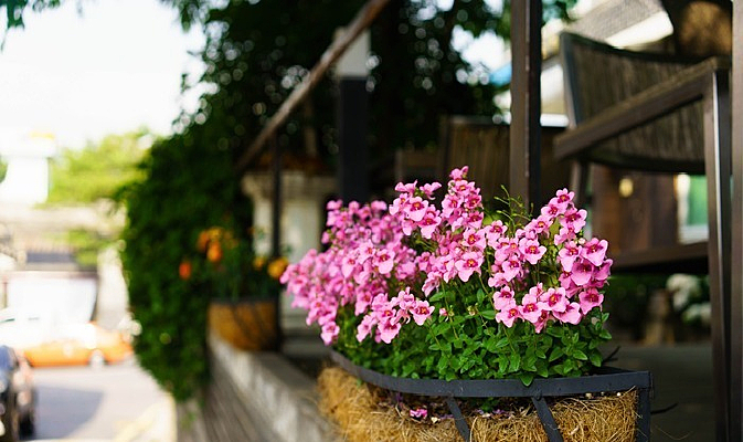 ����԰��